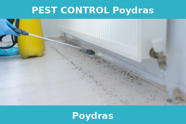 PEST CONTROL Poydras